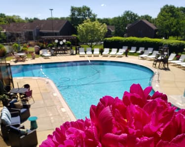 Property Feature Image